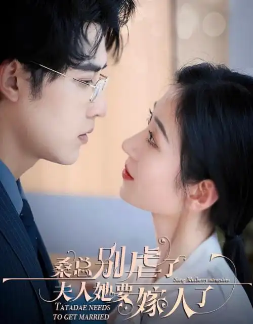闪婚后我成了全城首富太太 短剧海报